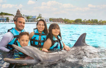 Dolphin Discovery1