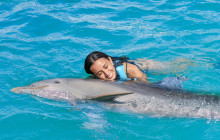 Dolphin Discovery4