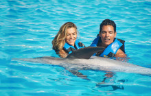 Dolphin Discovery5