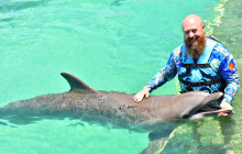 Dolphin Discovery1