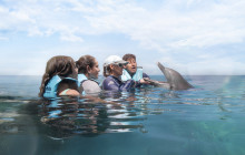 Dolphin Discovery4