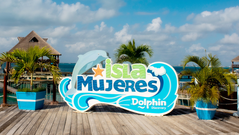 Dolphin Discovery
