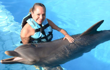 Dolphin Discovery4
