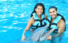 Dolphin Discovery1