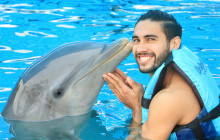 Dolphin Discovery3