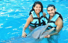 Dolphin Discovery5