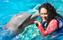 Dolphin Discovery10