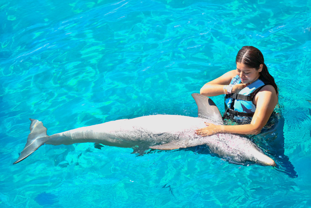 Dolphin Royal Connection+ Water Park Admission: Puerto Vallarta