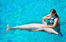 Dolphin Discovery1