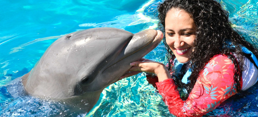Dolphin Emotions + Water Park Admission: Puerto Vallarta