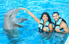Dolphin Discovery5