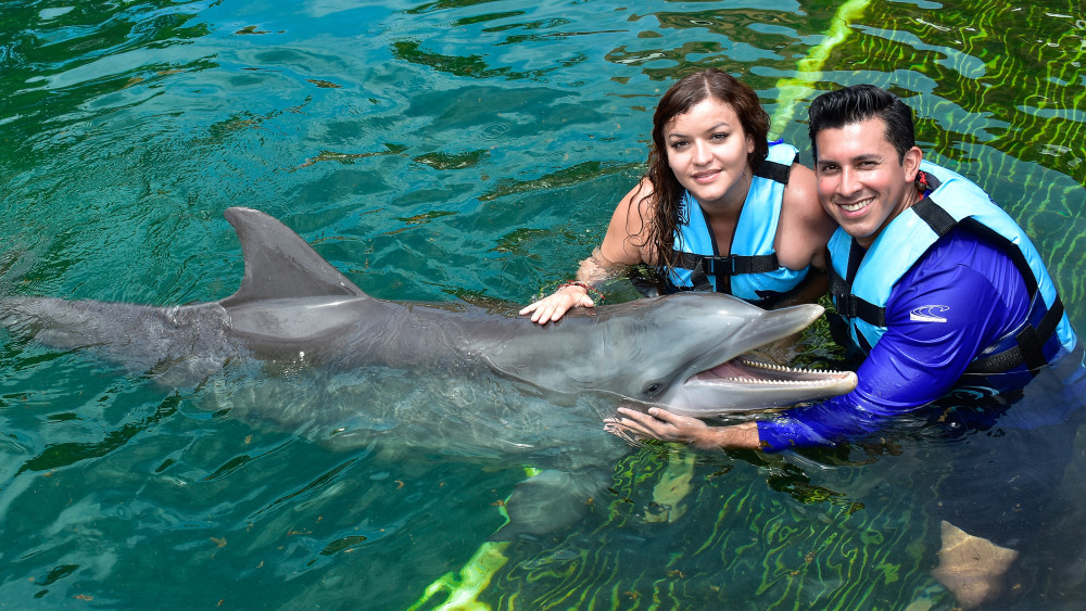 Riviera Maya Puerto Aventuras: Dolphin Encounter