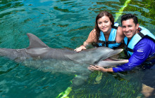 Dolphin Discovery1