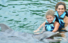 Dolphin Discovery3