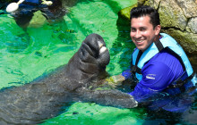 Dolphin Discovery6