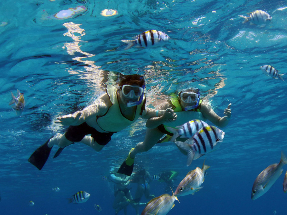 Malama Tours