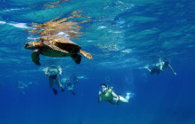 Malama Tours13