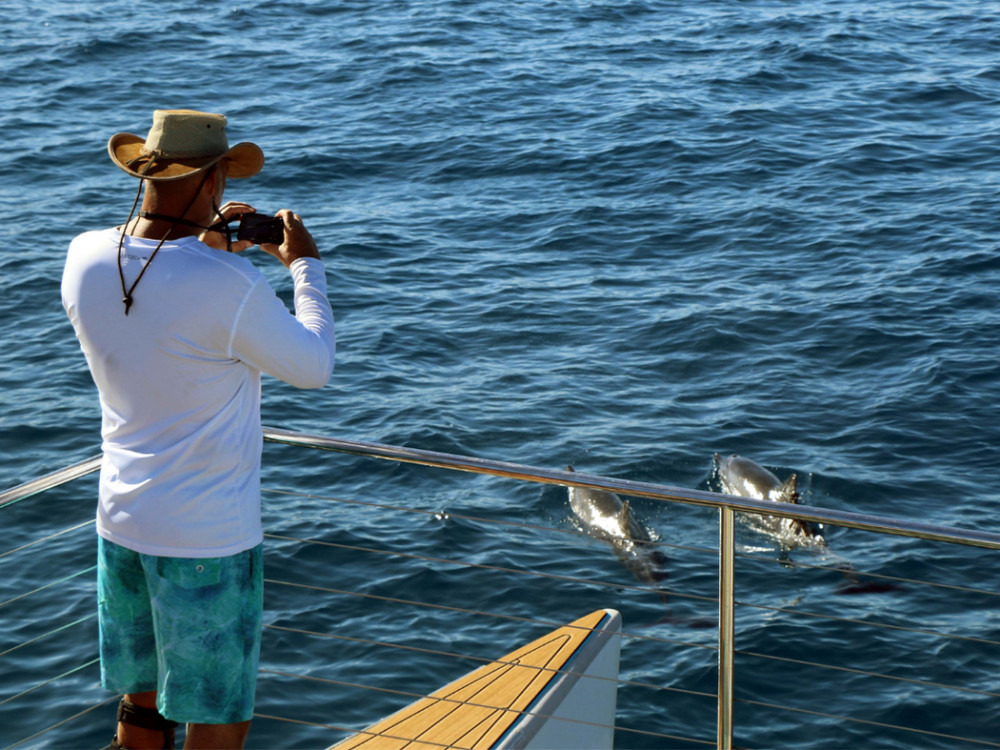 Malama Tours