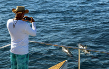 Malama Tours14