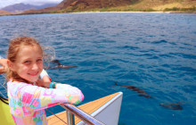 Ocean Joy Cruises29