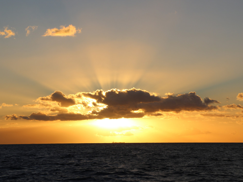 Ocean Joy Cruises