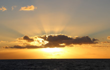 Ocean Joy Cruises27