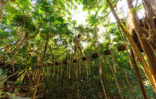 Extreme Adventuring Cancun11