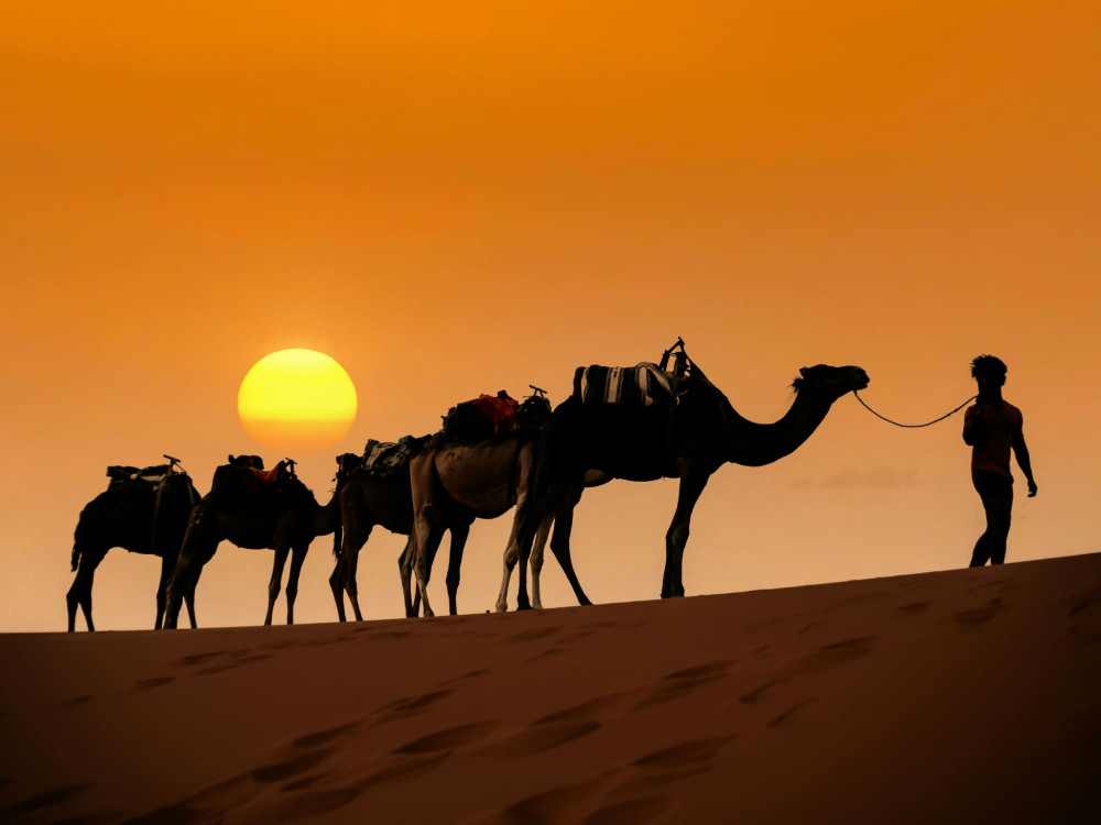 10-Day Morocco Highlights Tour with Sahara Desert and Imperial Cities
