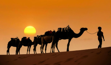 A picture of 10-Day Morocco Highlights Tour with Sahara Desert and Imperial Cities