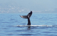 Mike's Fishing & Tours14