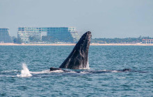 Mike's Fishing & Tours1
