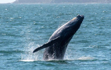 Mike's Fishing & Tours16
