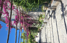 Katja travel11