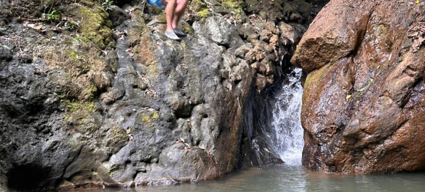 Signature Rainforest Tour