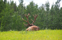 Arctic Range Adventure8