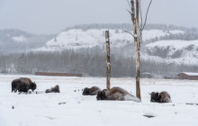 Arctic Range Adventure9