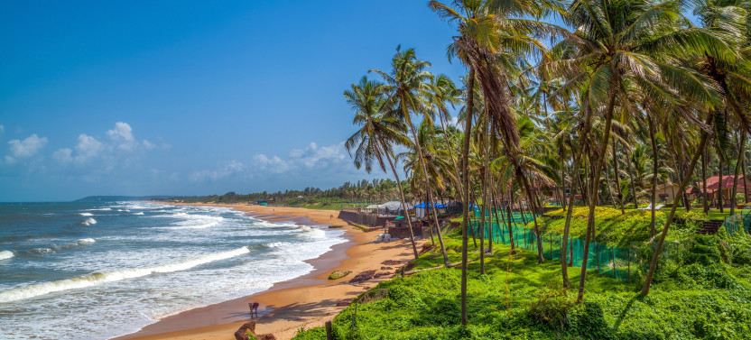 Private Goa Churches, Spice plantation + Old Bazaars