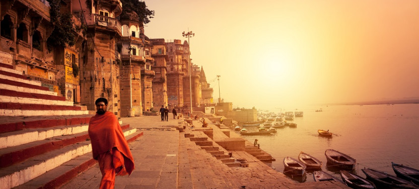 11 Day Madhya Pradesh Wildlife Tour