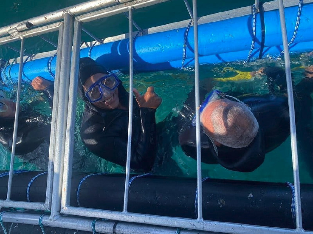Shark Explorers