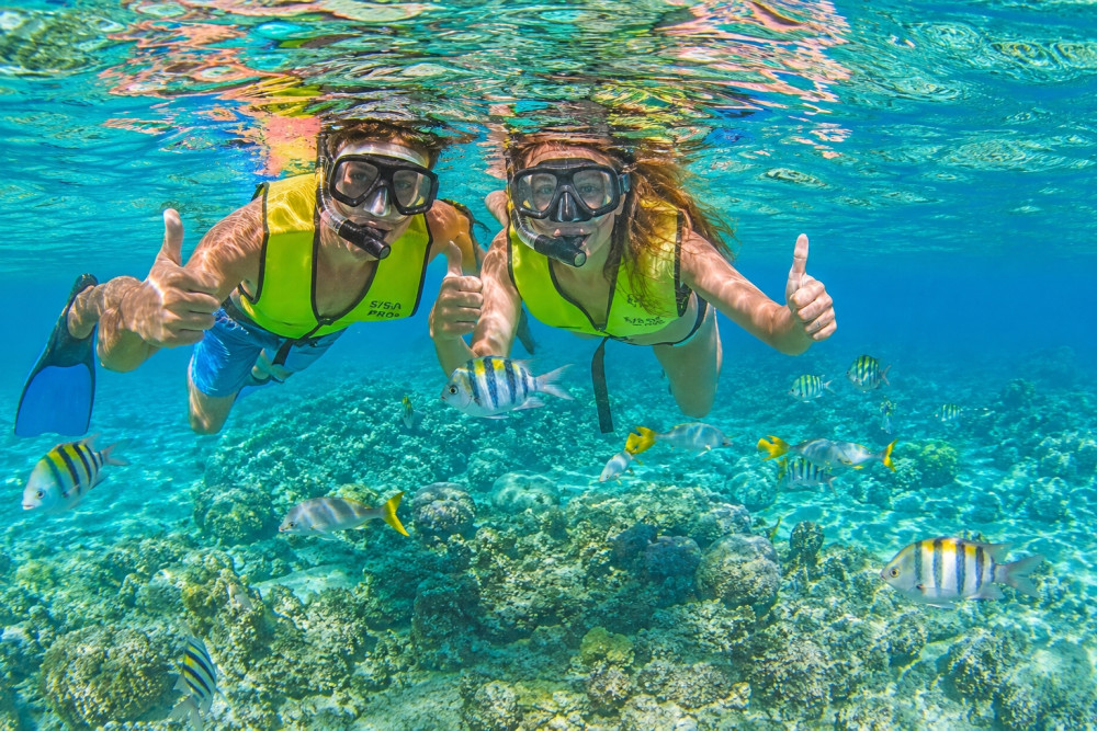 Seahorse Sailing Adventures