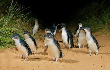 Local Way Tours3