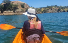 Auckland and Beyond Tours1