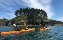 Auckland and Beyond Tours3