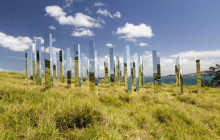 Auckland and Beyond Tours1
