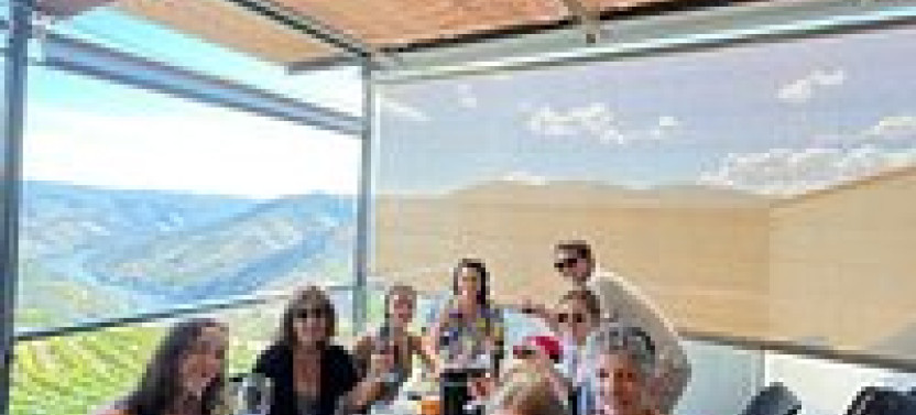 Douro Valley Half Day Wine and Food Tour From Porto,country Portugal