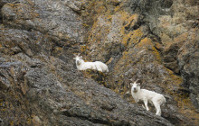 Alaska Photo Treks5