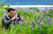 Alaska Photo Treks9