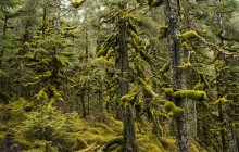 Alaska Photo Treks11