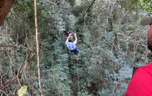 Tangol1