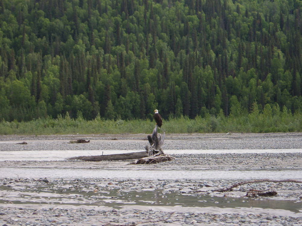 Private Matanuska River Scenic Float